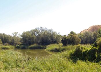 Nuevos talleres y actividades de educación ambiental