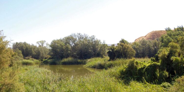 Nuevos talleres y actividades de educación ambiental