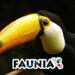 Faunia