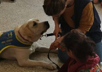 Los Perros de Asistencia para niños con Trastorno del Espectro Autista (TEA) protagonistas de charlas de sensibilización escolar