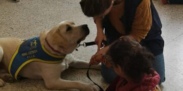 Los Perros de Asistencia para niños con Trastorno del Espectro Autista (TEA) protagonistas de charlas de sensibilización escolar