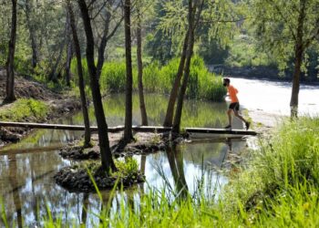 Alcalá se incorpora a las experiencias del Banco de innovación de las administraciones públicas