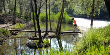 Alcalá se incorpora a las experiencias del Banco de innovación de las administraciones públicas