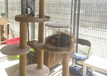 El PSOE de Alcalá propondrá que la Comunidad de Madrid invierta en el CIMPA, tal y como lo ha hecho hasta ahora el Ayuntamiento