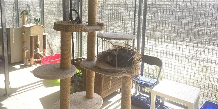 El PSOE de Alcalá propondrá que la Comunidad de Madrid invierta en el CIMPA, tal y como lo ha hecho hasta ahora el Ayuntamiento