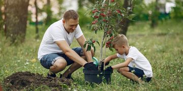 Alcalá de Henares recibe, por tercer año, el distintivo internacional “Ciudad arbórea del mundo”