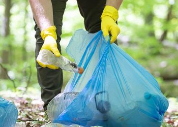 Alcalá celebra la XIX edición de la Semana del Medio Ambiente