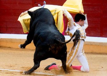 Salida en hombros en la primera corrida de la feria de Alcalá de Henares