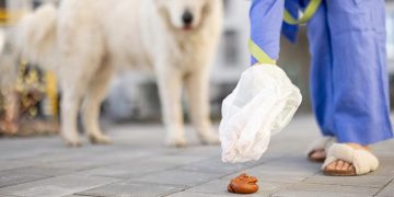 La Policía Local recoge muestras de heces caninas por los distritos de Alcalá