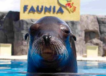 El primer fin de semana de noviembre los alcalaínos que visiten Faunia podrán hacerlo a un precio especial