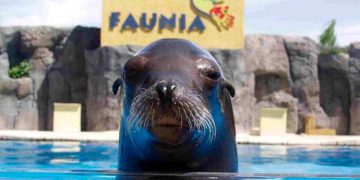 El primer fin de semana de noviembre los alcalaínos que visiten Faunia podrán hacerlo a un precio especial