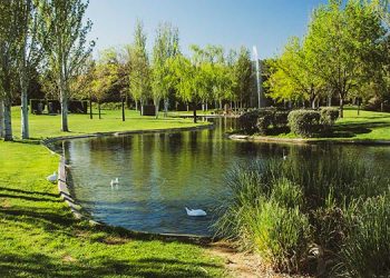 Los cementerios de Alcalá celebran actos con motivo del Día de Todos los Santos