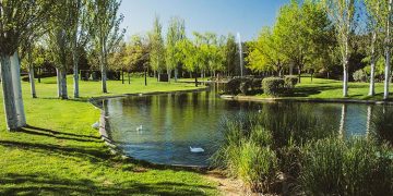 Los cementerios de Alcalá celebran actos con motivo del Día de Todos los Santos