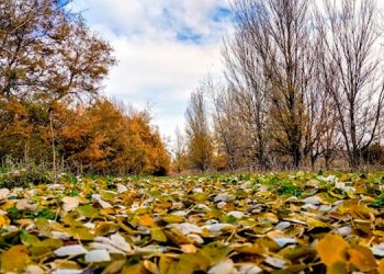El sábado 2 de diciembre comienza la programación de las Rutas Medioambientales en Alcalá