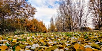 El sábado 2 de diciembre comienza la programación de las Rutas Medioambientales en Alcalá
