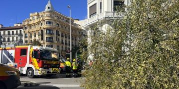 Fallece una joven de 23 años por la caída de un árbol en la calle Almagro en Madrid