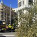 Fallece una joven de 23 años por la caída de un árbol en la calle Almagro en Madrid