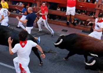 San Sebastián de los Reyes celebrará los primeros encierros de invierno de su historia