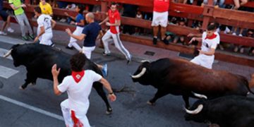 San Sebastián de los Reyes celebrará los primeros encierros de invierno de su historia