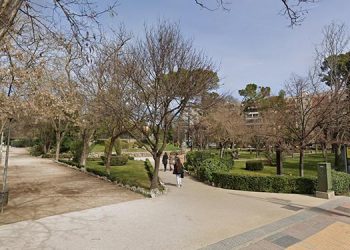 Alcalá reconocida como Ciudad Arbolada del Mundo 2023