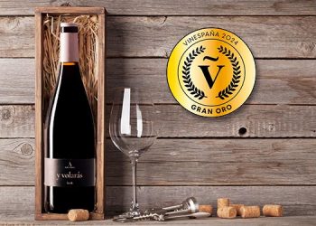 La Cooperativa Vinícola de Arganda triunfa en VinEspaña 2024 con «Y Volarás» con el que ha conseguido el Gran Oro