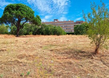 Nuevas instalaciones deportivas en El Olivar