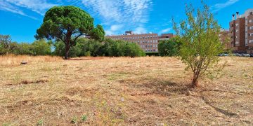 Nuevas instalaciones deportivas en El Olivar