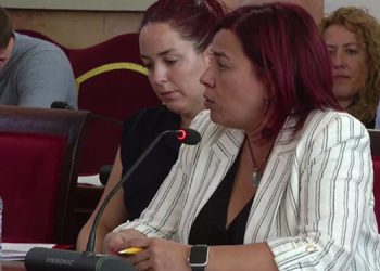 Más Madrid en el pleno