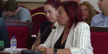 Más Madrid en el pleno