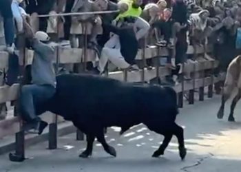 Un fallecido en el último encierro en Villaviciosa de Odón