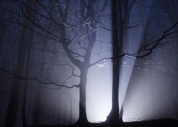 Noche de miedo en Halloween