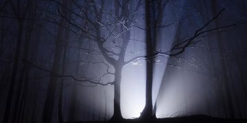 Noche de miedo en Halloween