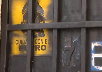 Un niño de dos años atacado por un pitbull