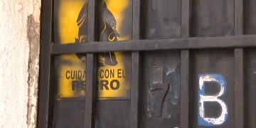 Un niño de dos años atacado por un pitbull