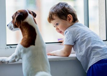 El ayuntamiento de Alcalá lleva a los colegios jornadas informativas para la tenencia responsable de animales y el fomento de la adopción