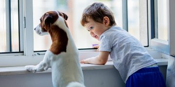 El ayuntamiento de Alcalá lleva a los colegios jornadas informativas para la tenencia responsable de animales y el fomento de la adopción