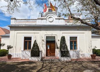 Pleno del Distrito I