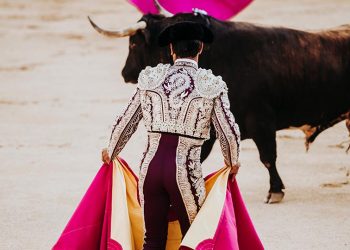 Alcalá festejos taurinos