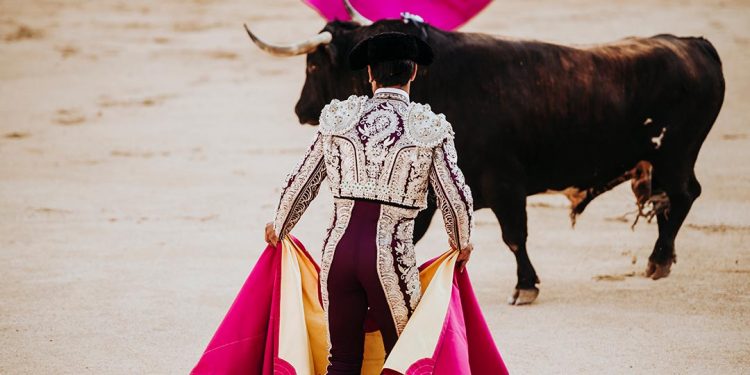 Alcalá festejos taurinos