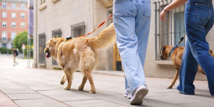 Alcalá de Henares refuerza el control del ADN canino
