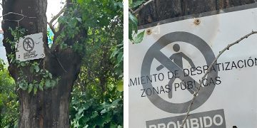 FCAVAH Alcalá de Henares